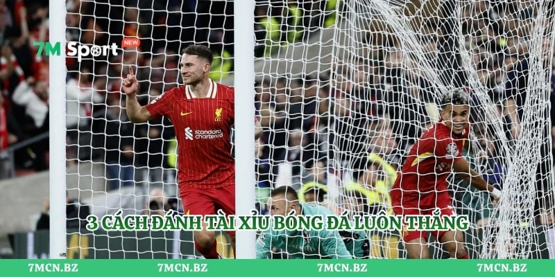 3 cách đánh tài xỉu bóng đá luôn thắng