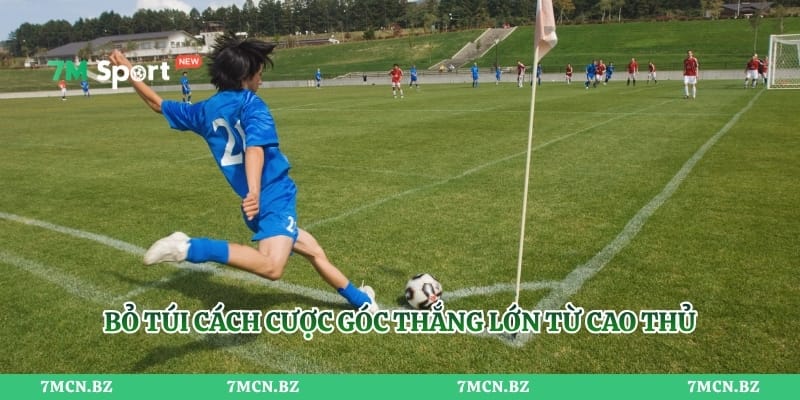 Bỏ túi cách cược góc thắng lớn từ cao thủ