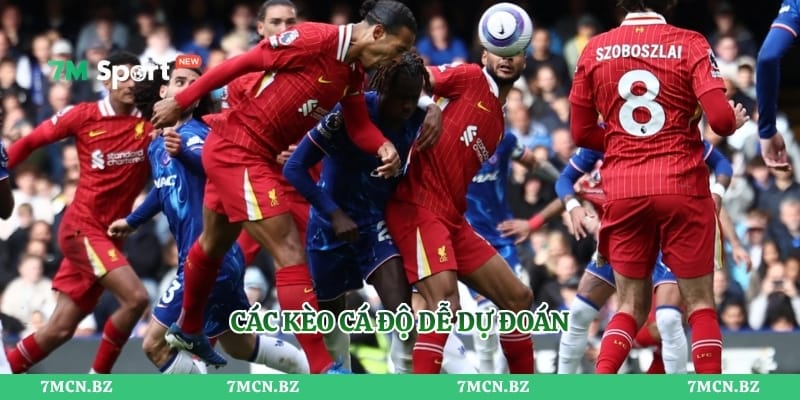 Các kèo cá độ dễ dự đoán