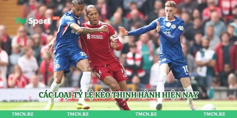 Các loại tỷ lệ kèo thịnh hành hiện nay