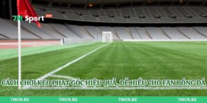 Cách Chơi Kèo Phạt Góc Hiệu Quả, Dễ Hiểu Cho Fan Bóng Đá