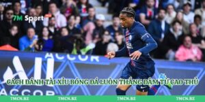 Cách Đánh Tài Xỉu Bóng Đá Luôn Thắng Đậm Từ Cao Thủ
