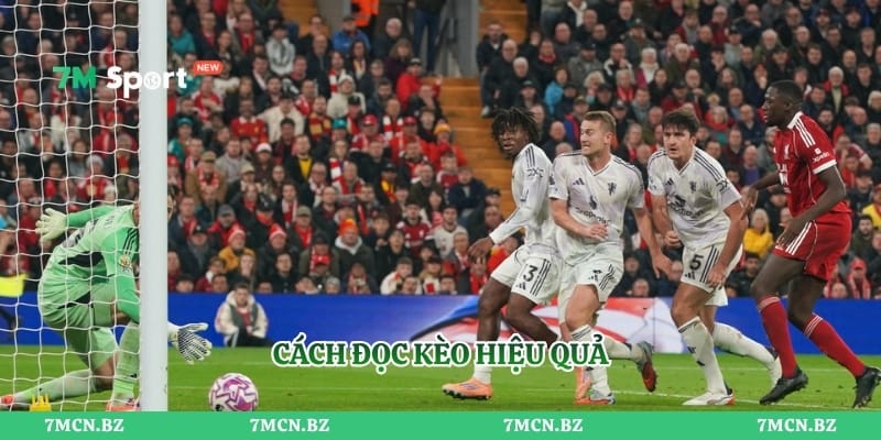 Cách đọc kèo hiệu quả