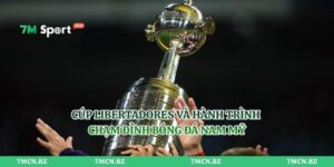 Cúp Libertadores Và Hành Trình Chạm Đỉnh Bóng Đá Nam Mỹ
