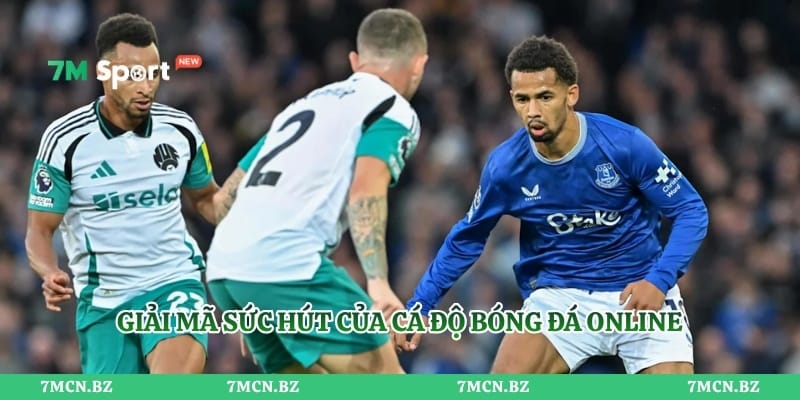Giải mã sức hút của cá độ bóng đá online