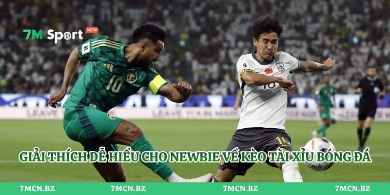 Giải thích dễ hiểu cho newbie về kèo tài xỉu bóng đá