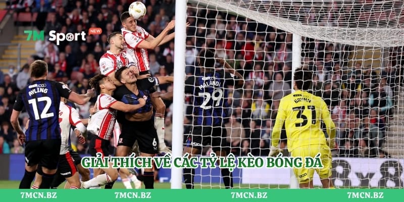 Giải thích về các tỷ lệ kèo bóng đá 
