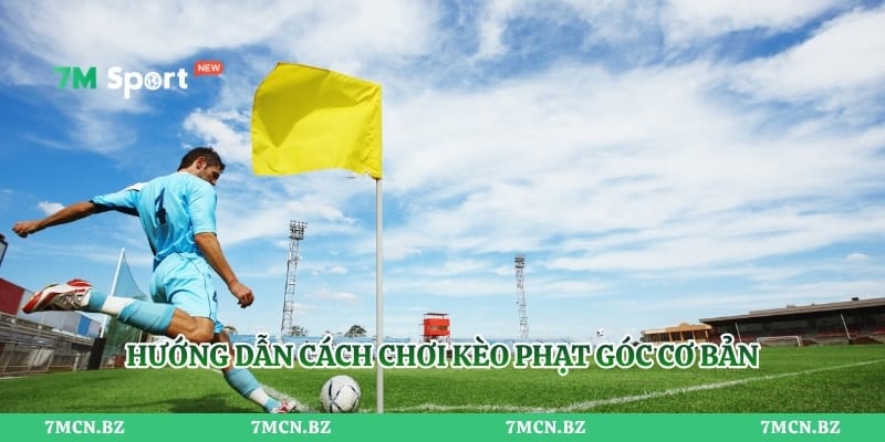 Hướng dẫn cách chơi kèo phạt góc cơ bản