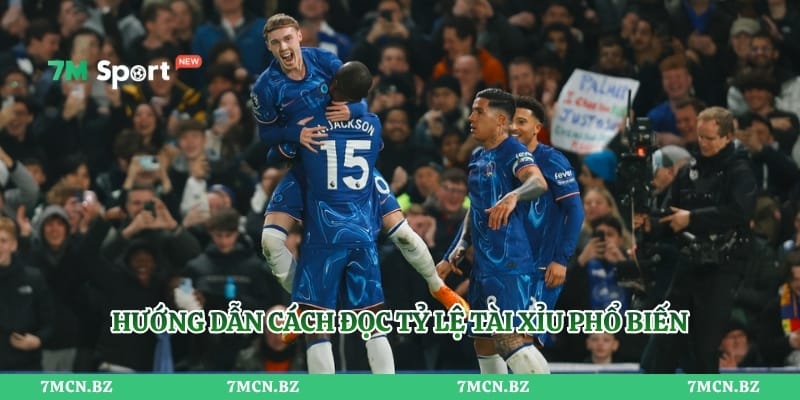 Hướng dẫn cách đọc tỷ lệ tài xỉu phổ biến