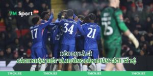 Kèo Dụ Là Gì - Cách Nhận Biết Và Hướng Dẫn Phân Tích Tỷ Lệ