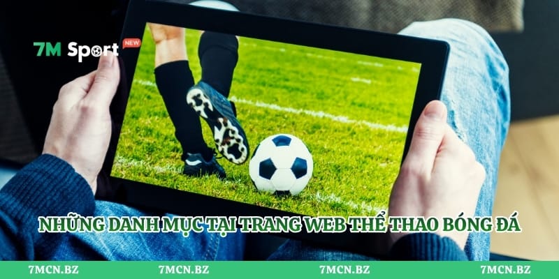 Những danh mục tại trang web thể thao bóng đá