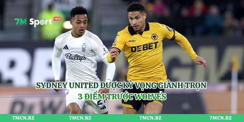 Sydney United được kỳ vọng giành trọn 3 điểm trước Wolves