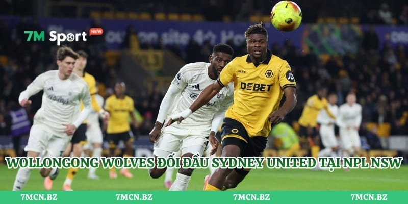 Wollongong Wolves đối đầu Sydney United tại NPL NSW